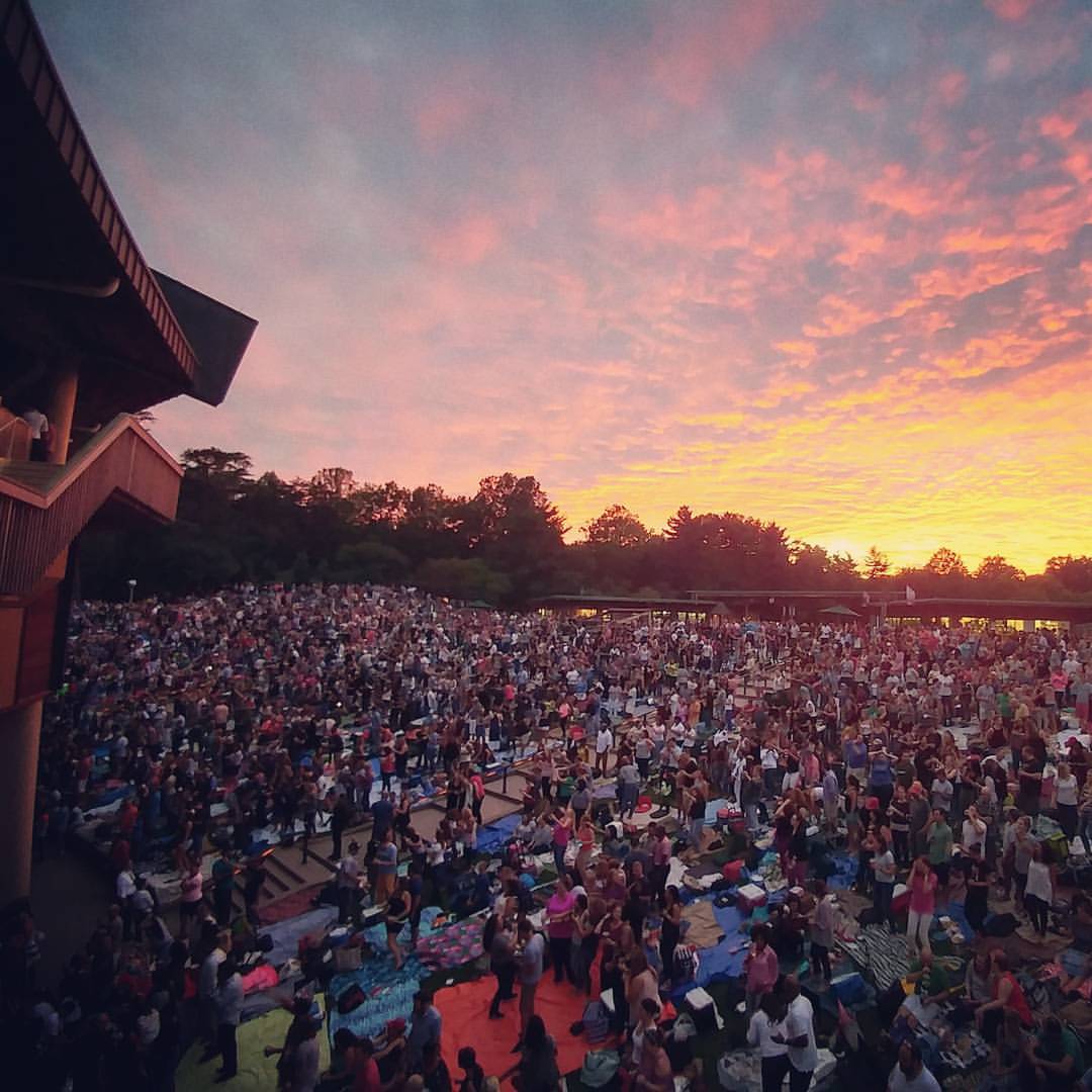 14242468_10153674273856571_8304293605595123443_o